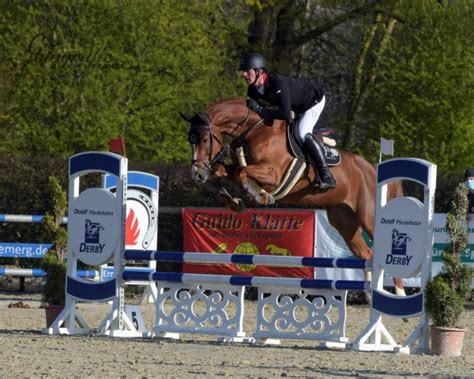 Rory Rolex: jumper, Pedigree, Ratings 